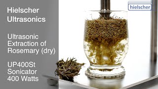 Rosemary Extraction Using an Ultrasonic Homogenizer UP400St [upl. by Felt]