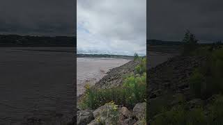 The Tidal Bore In Moncton Part 3 Watch Part 1 amp 2 First [upl. by Novaelc]