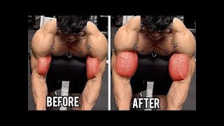 6 Super Exercises to Get Bigger Biceps Workout at Gym [upl. by Akvir29]