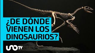 Fósil de Brasil da claves del origen de los dinosaurios [upl. by Donaldson]