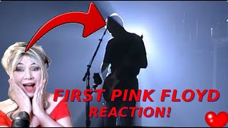 Euphoric Pink Floyd Comfortably Numb LIVE REACTIONEXPERIENCE [upl. by Aniluap606]