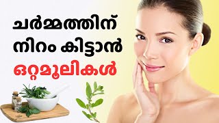 ചർമ്മത്തിന് നിറം കിട്ടാൻ  how to increase skin colour naturally in malayalam  ottamooli [upl. by Clarhe684]