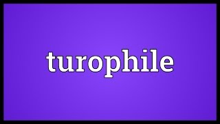 Turophile Meaning [upl. by Akinehc]