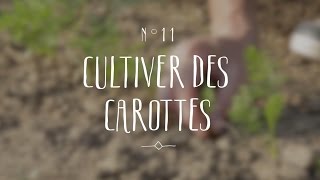 Cultiver des carottes [upl. by Oby]