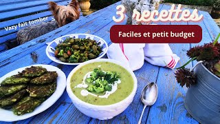 Comment cuisiner et cuire le brocoli  Gnocchi soupe galettes [upl. by Aicena781]