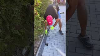 Paver is laying paving stones construction paving shorts [upl. by Dareg]