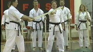 Alan Dollar Sanseiryu Kata amp Breaking Demo [upl. by Tare]