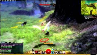 Guild Wars 2 Farming Guide  Vial of Thin Blood In Gendarran Fields Level 30 [upl. by Anet]