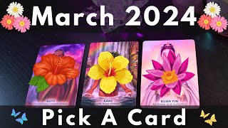 PICK A CARD 🔮🎉 MARCH 2024 PREDICTIONS 🌸🌷🐰 [upl. by Rogers]