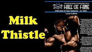 Milk Thistle  Bodybuilding Tips To Get Big [upl. by Asiole111]