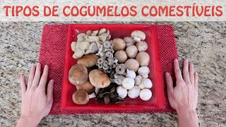 Tipos de Cogumelos Comestíveis [upl. by Mcknight]