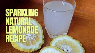 Ferment your own fresh sparkling lemonade [upl. by Eserehs]