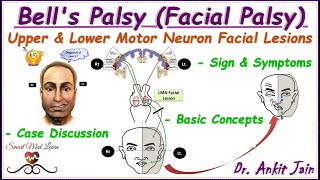 Bells palsy Upper and Lower motor neuron facial palsy Central facial palsyAnatomy Simplified [upl. by Lunneta577]