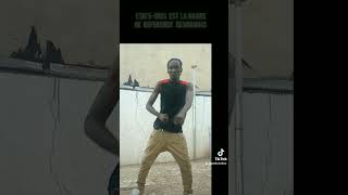 Sidiki diabate  Dance quotchampionquot [upl. by Aiouqahs]