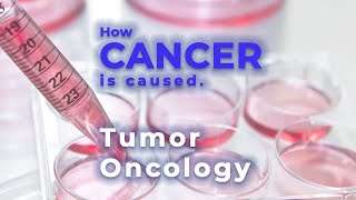 Cancer  Oncology  Oncogene  Tumor suppressor gene  Malignant tumor  Metastasis [upl. by Nguyen]