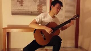 Capricho Arabe  Guitar Performed by Frank GUO [upl. by Puttergill715]