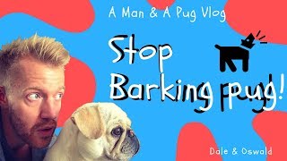 How To Stop Your Pug  Dog Barking [upl. by Meehyr418]