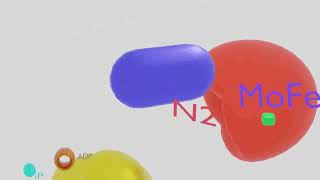 Nitrogenase Enzyme Animation Enzyme Action [upl. by Ateloj]