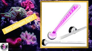 Tunze Ecochic Refugium Led  1 month review [upl. by Iana812]