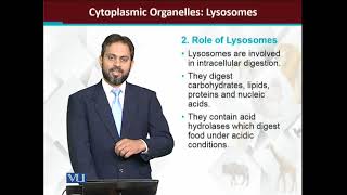 Cytoplasmic Organelles Lysosomes  Principles of Animal LifeI  ZOO514TTopic066 [upl. by Miru450]