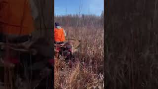 Swamp buck hunting buckfeveroutdoors deer deerhunting whitetaildeer buck swampbuck deerhunt [upl. by Aihtak102]