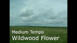 Wildwood Flower 4l4 Medium Temp [upl. by Hunger]