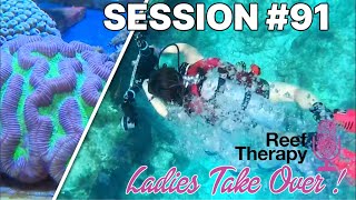 The Ladies Take Over Reef Therapy AGAIN  91 [upl. by Enelkcaj]