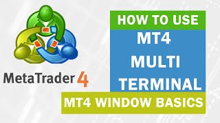 MetaTrader 4 ► How to Use MT4 MultiTerminal Window ● XM Tutorial [upl. by Egas]