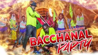 Luni Spark amp Electrify  Bacchanal Party Grenada Soca 2019 [upl. by Dorman]