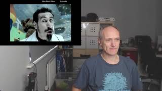 Serj Tankian  Empty Walls Reaction ► Pictures Noise and Words [upl. by Rysler627]