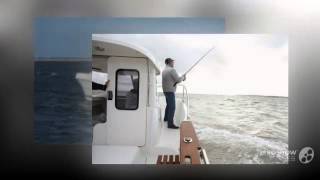 Quicksilver Captur 215 Arvor Power boat Pilothouse Boat Year  2014 [upl. by Atinek]