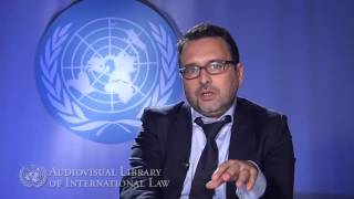 Vicent Chetail on the Principle of Nonrefoulement in International Law [upl. by Ellehsal]