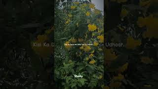 Life🍃 shoity nature indiansong music life love youtubeshorts youtube [upl. by Kopaz512]