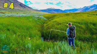 Fishing for the LARGEST Trout Native to America  California Gold Pt 4 Lahontan Cutthroat [upl. by Johathan694]