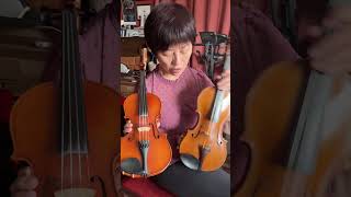 Why Student Violin Has 4 Fine Tuners [upl. by Hplar]