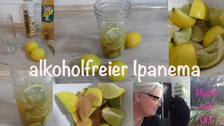 Ipanema alkoholfreier Cocktail [upl. by Leahsim311]