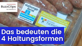 Tierwohl Das bedeuten die vier Haltungsformen [upl. by Iroc]