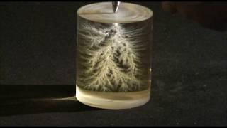 Lichtenberg figures in plexiglass [upl. by Normie468]