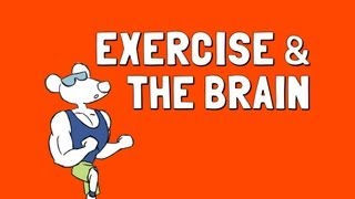 Exercise and the Brain [upl. by Mars]