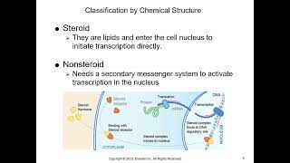 Chapter 16 Endocrine System Disorders revised 1 [upl. by Nerred34]