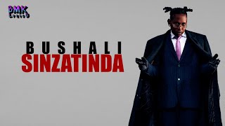 Bushali  SINZATINDABMK Lyrics Lyrics [upl. by Anerom]