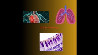 Trachea Bronchi and Bronchioles [upl. by Tristan816]