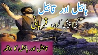 Habeel aur Qabeel ka qissa  Habil and qabil story  Urdu [upl. by Kerin]