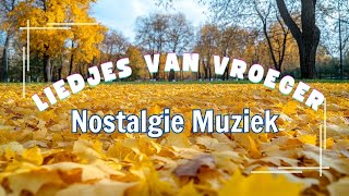 Oude Nederlandse Liedjes 🍁 Hollandse Liedjes 🍁 Meest Beluisterde Muziek Uit Nederland [upl. by Lemert]