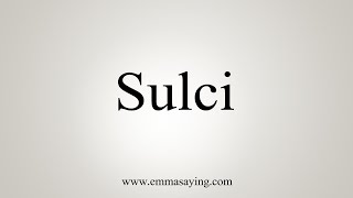 How To Say Sulci [upl. by Mohorva983]