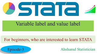 Variable label and value label in Stata for beginners  Episode3 [upl. by Eirelav]