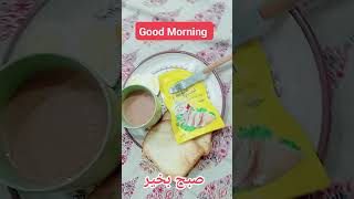 Bismillah Karan  Good Morning aamirandsonsvlogs aamirishaqonline goodmorning [upl. by Ikcaj]