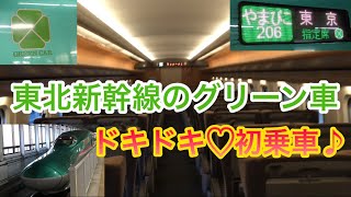 新幹線のグリーン車に初めて乗車し興奮してる人はこちらですw [upl. by Papotto]