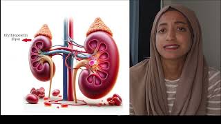 What do your kidneys do for you [upl. by Bille]