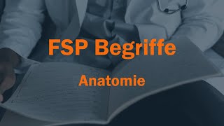 Anatomie Begriffe für FSP Von D Farhi [upl. by Faustine]